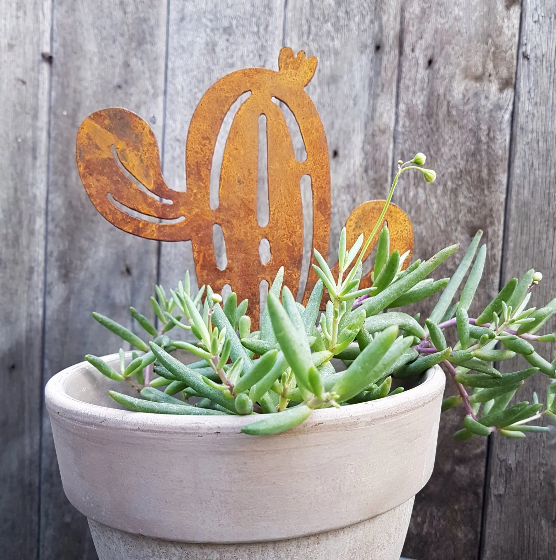 Cactus garden stake corten cut out