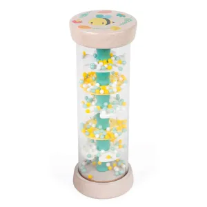 Rain stick